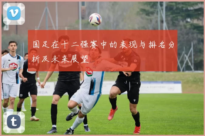 国足在十二强赛中的表现与排名分析及未来展望